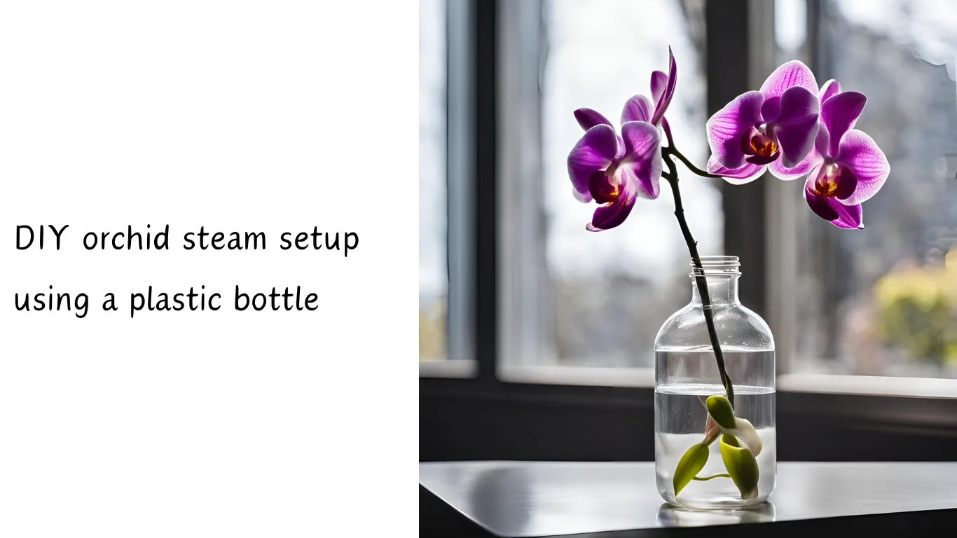 DIY orchid steam setup using a plastic bottle