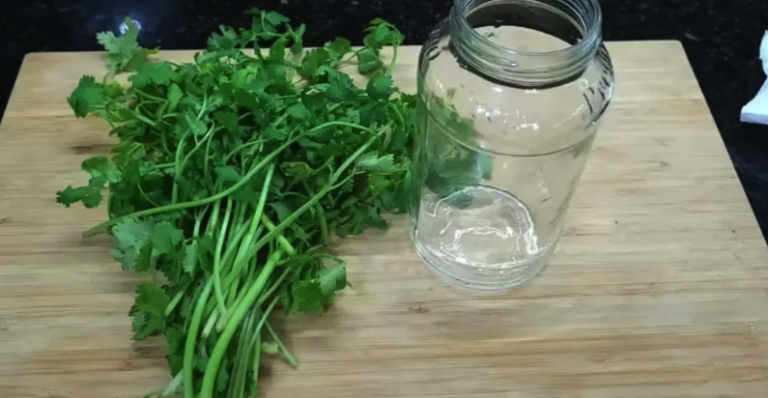 How to Store Parsley and Keep It Fresh for a Year: The Chef’s Method